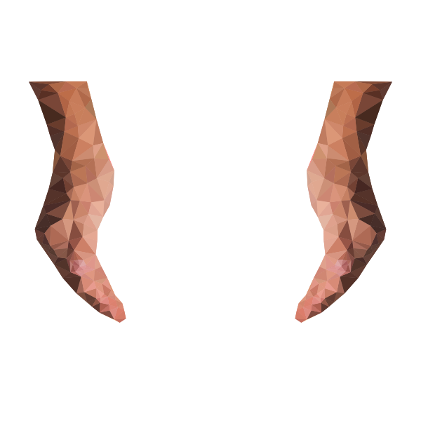 Low Poly Cupping Hands