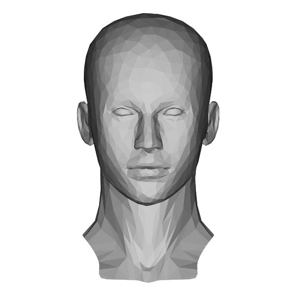 Low Poly Female Head