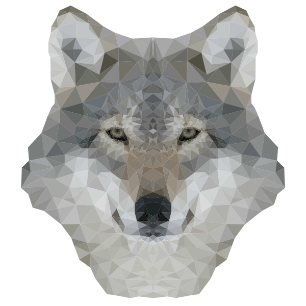 Low Poly Gray Wolf