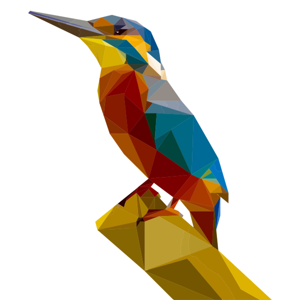Kingfisher bird