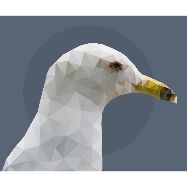 Low Poly Sea Gull