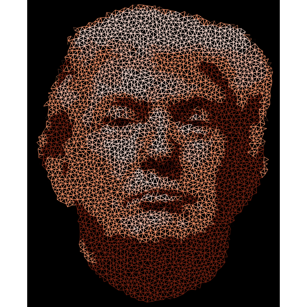 Low Poly Trump Head Wireframe | Free SVG