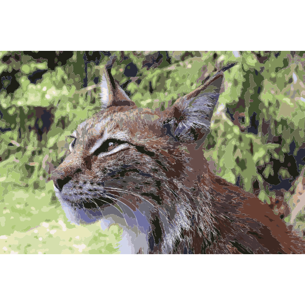 Lynx lynx 4 2016121830
