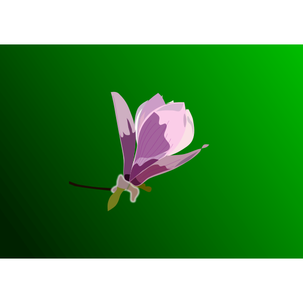 Free Free 302 Magnolia Flower Svg File Free SVG PNG EPS DXF File
