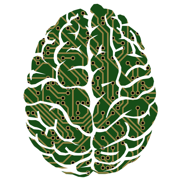 Machine Learning Brain