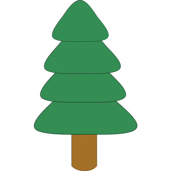 spruce1