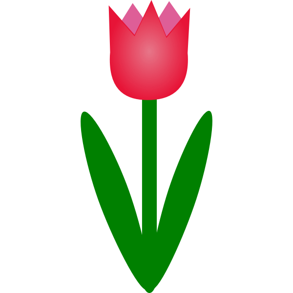 tulip1