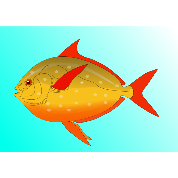 Fish vector art