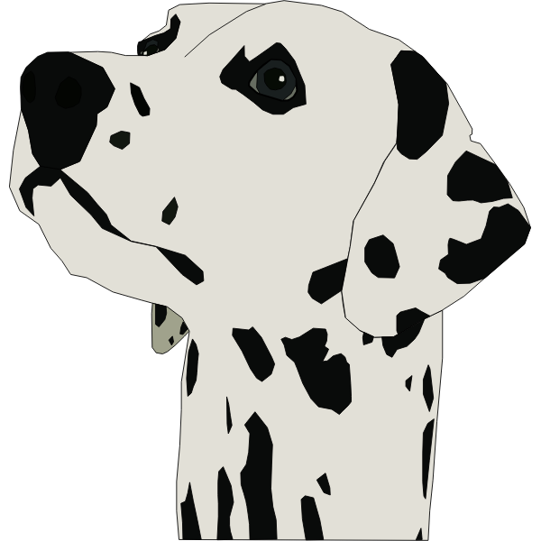 Dalmatian Dog Portrait Vector Image Free Svg