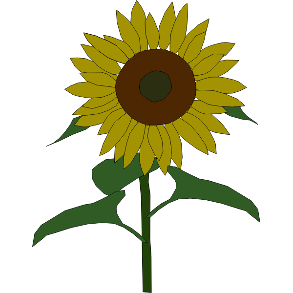 Sunflower vector graphics