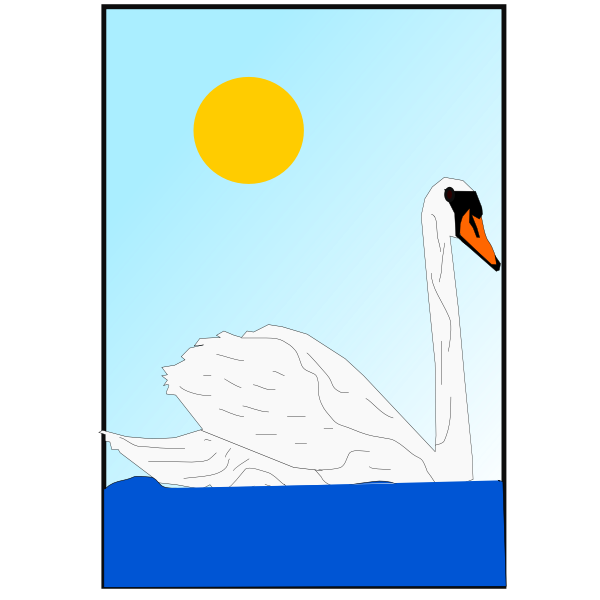 White swan vector image