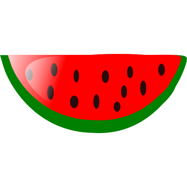 Watermelon vector image