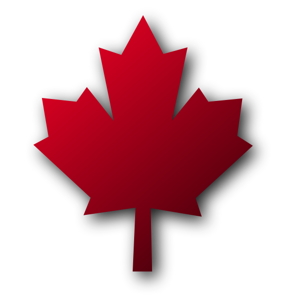 Maple leaf vector graphics