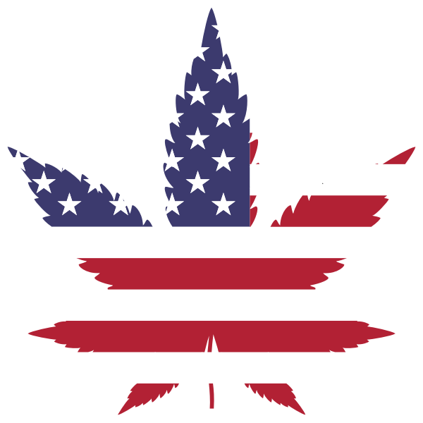 american flag with marijuana on it