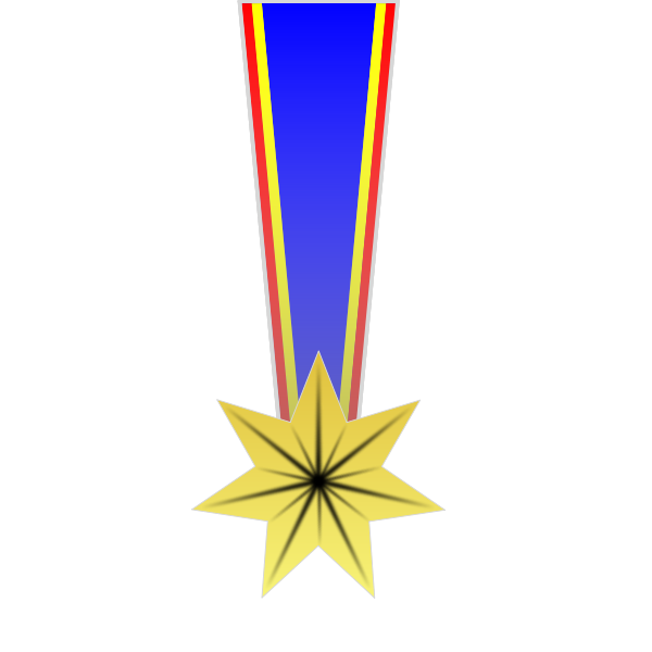 Star shaped military medal vector image
