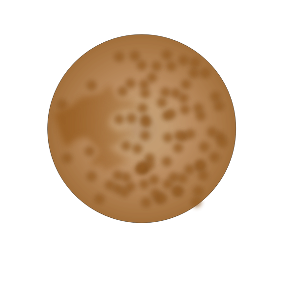 Mercury vector image-1625174167