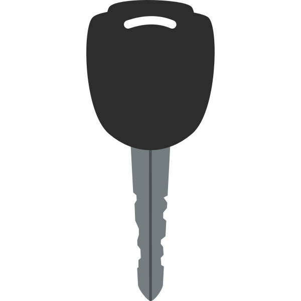 Grayscale vector image of car door key