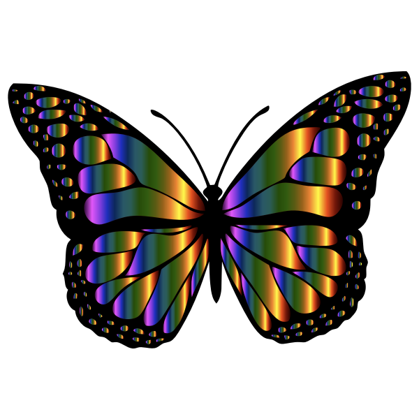 Download Monarch Butterfly 2 Variation 4 | Free SVG