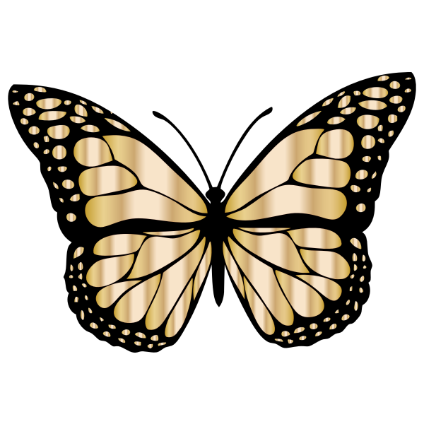 Download Monarch Butterfly 2 Variation 5 | Free SVG