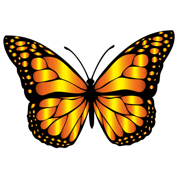 Download Monarch Butterfly 2 Variation 6 | Free SVG