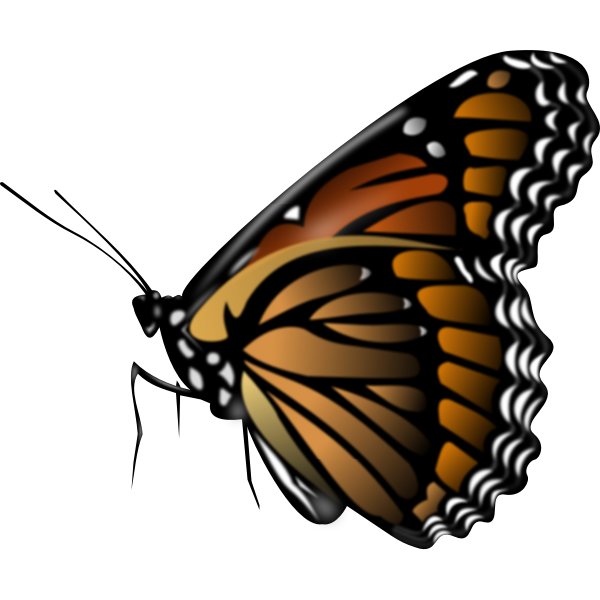 Monarch butterfly vector clip art