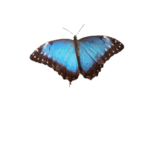 Download Blue butterfly illustration | Free SVG