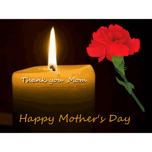 Mother's Day carnation and candle