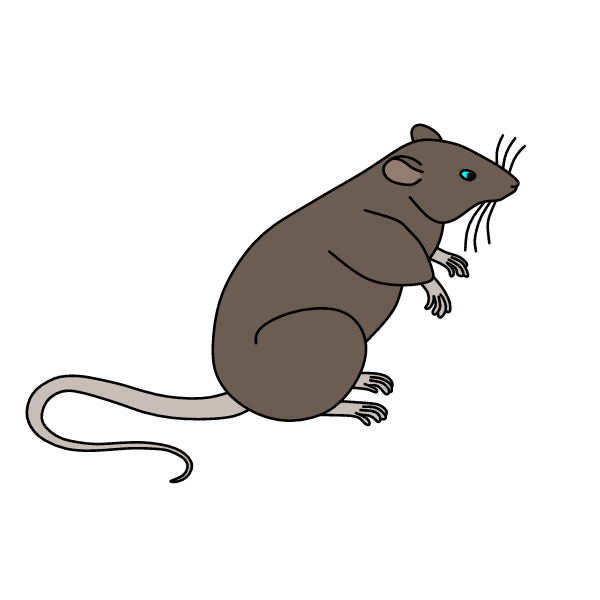 Mouse 8