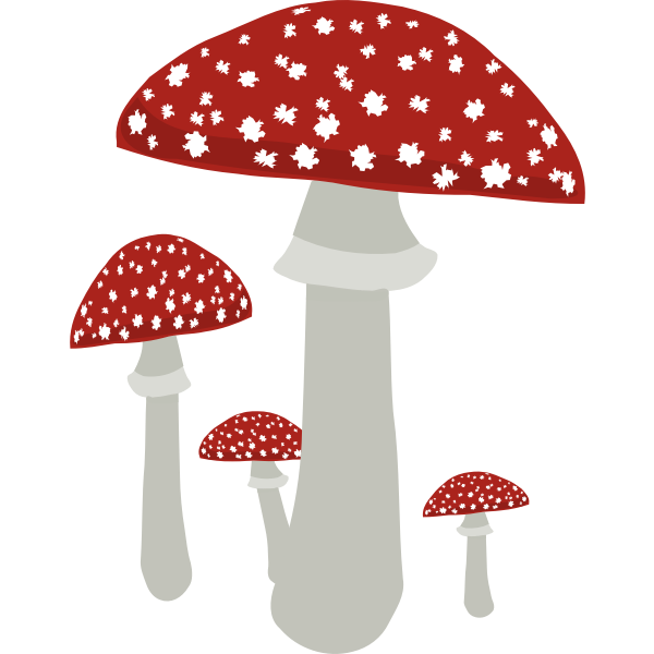 Mushrooms4