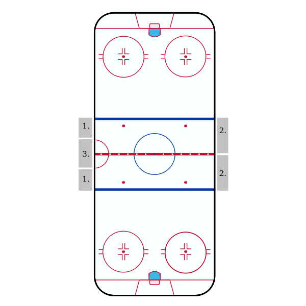 NHL Hockey Rink