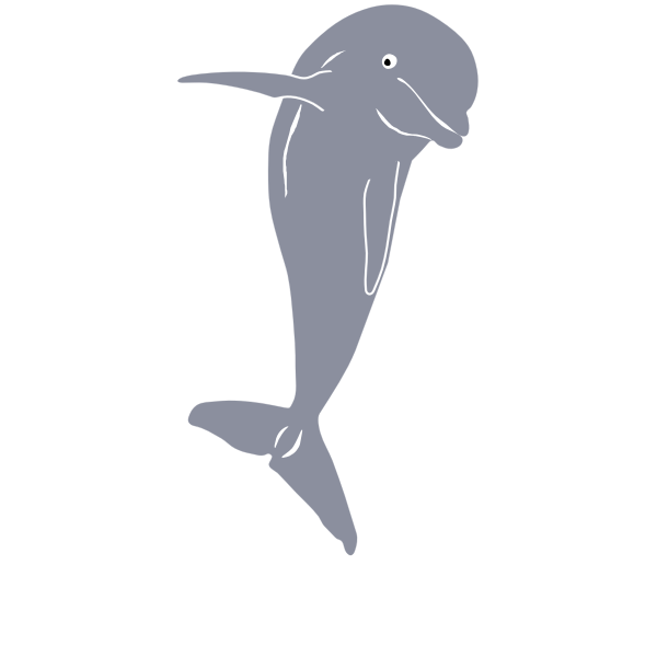 Dolphin jumping  vector graphics