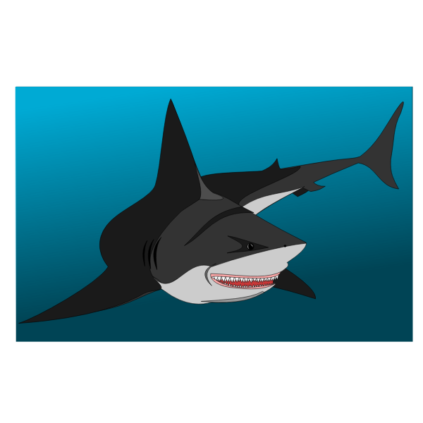 Download Non Friendly shark | Free SVG