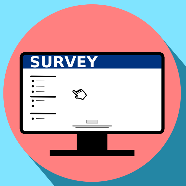 Website survey icon vector image