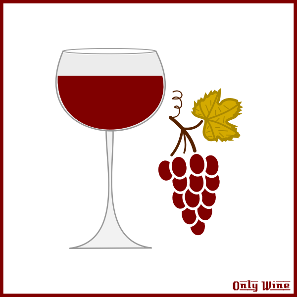 Grapes and wine | Free SVG