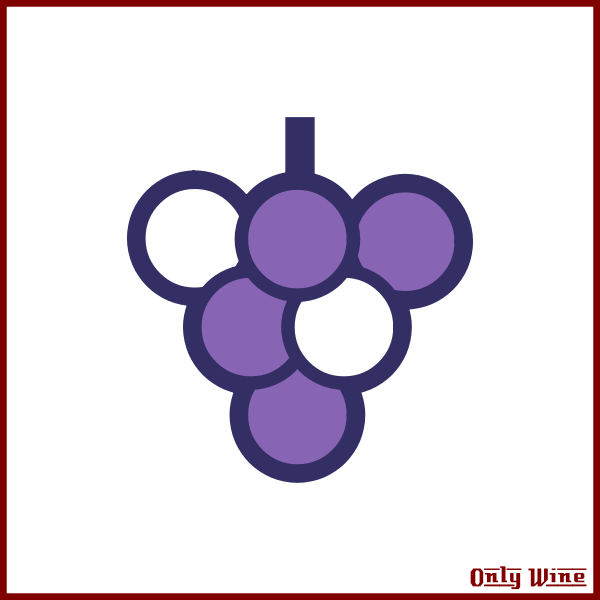 Violet grapes image