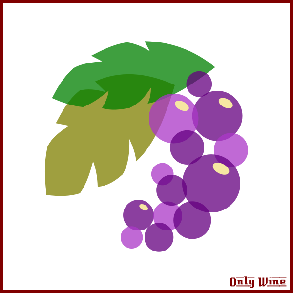 Purple grapes image