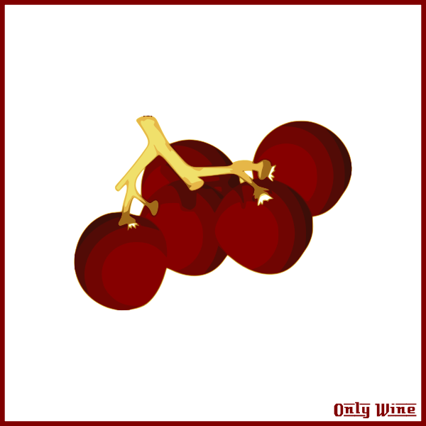 Red grapes image