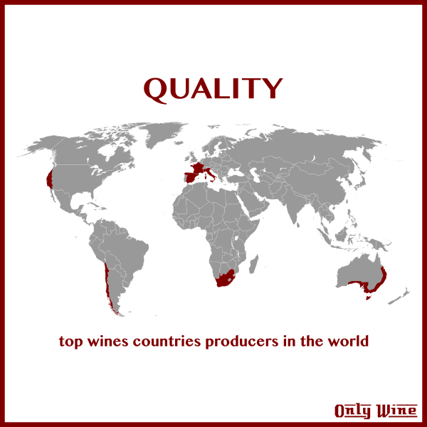 Top wine producers