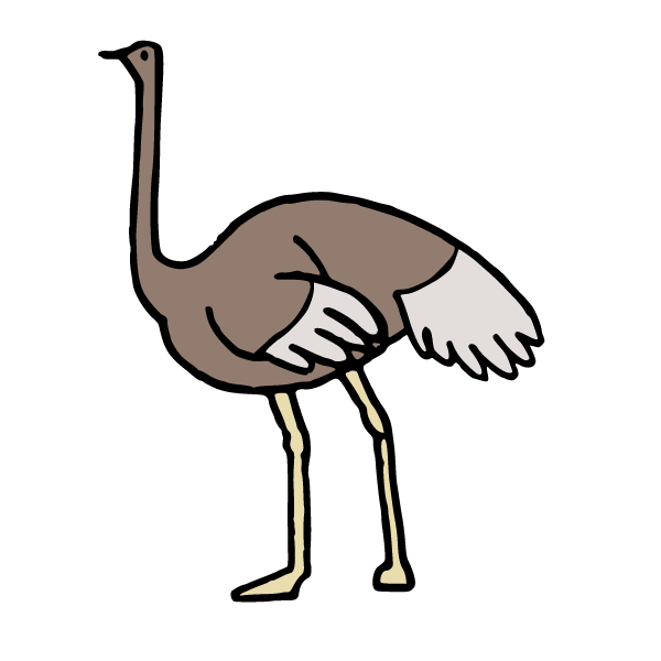 Ostrich 2