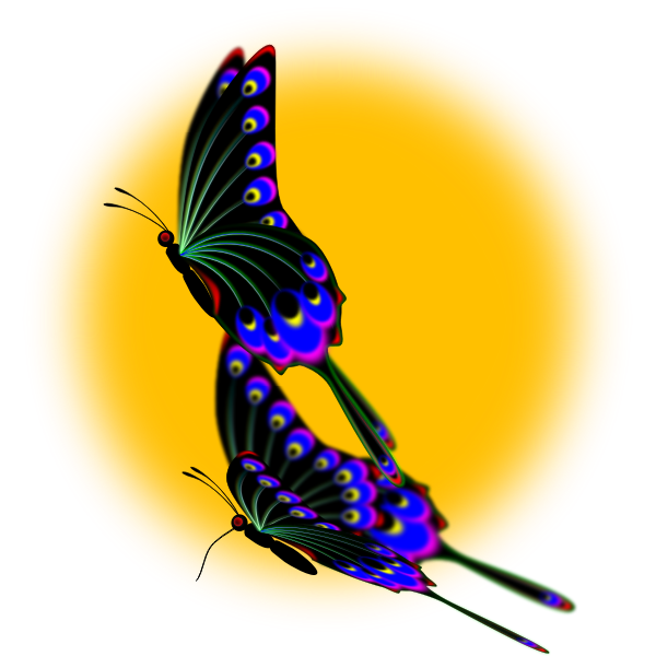 Peacock butterflies
