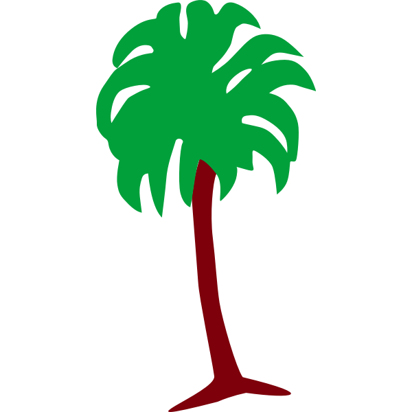 Palm tree image
