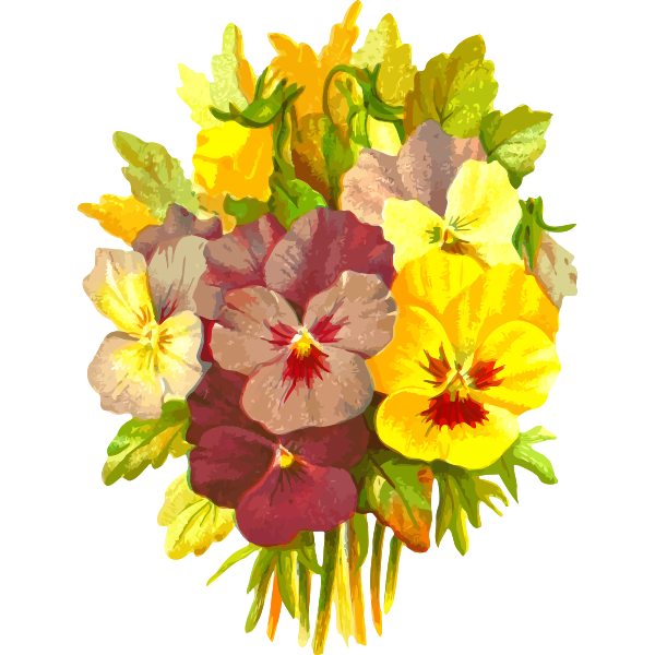 Painted flowers vector image
