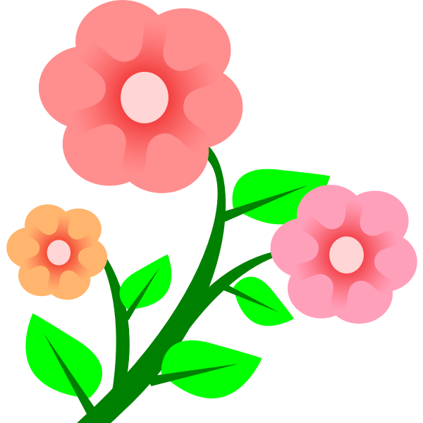 3 flowers