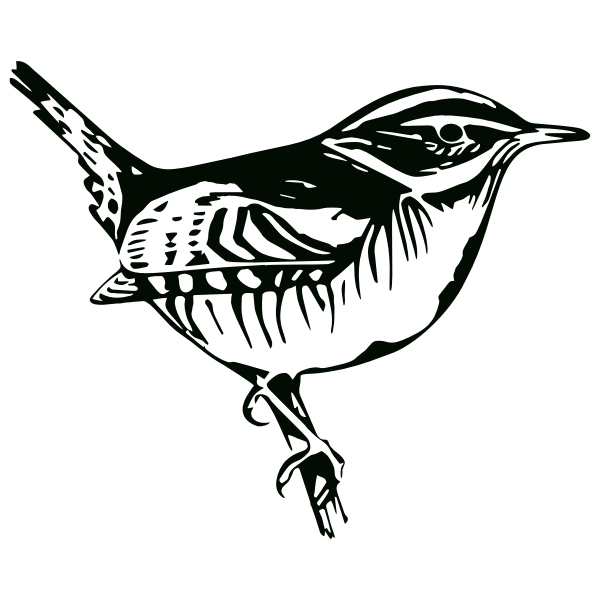 Download Perched Bird Silhouette | Free SVG