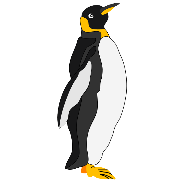 Architetto -- pinguino 1