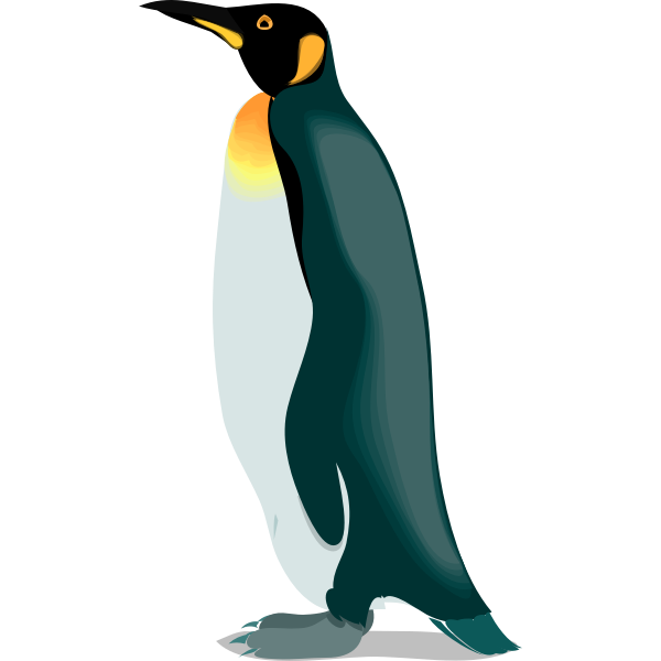 Architetto -- pinguino 4