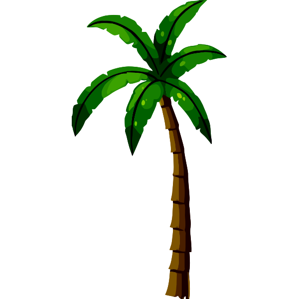 Palm tree-1625088368