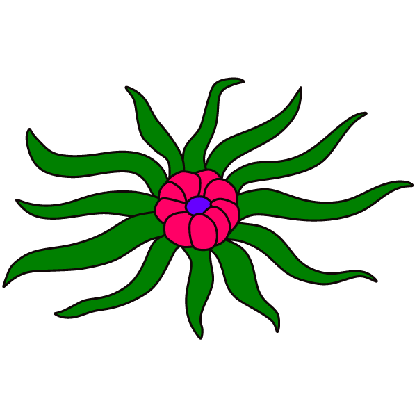 Plant 3