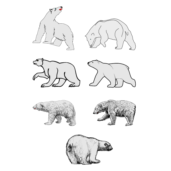 Polar bears