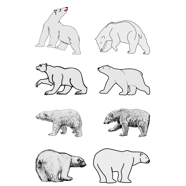 Polar bears